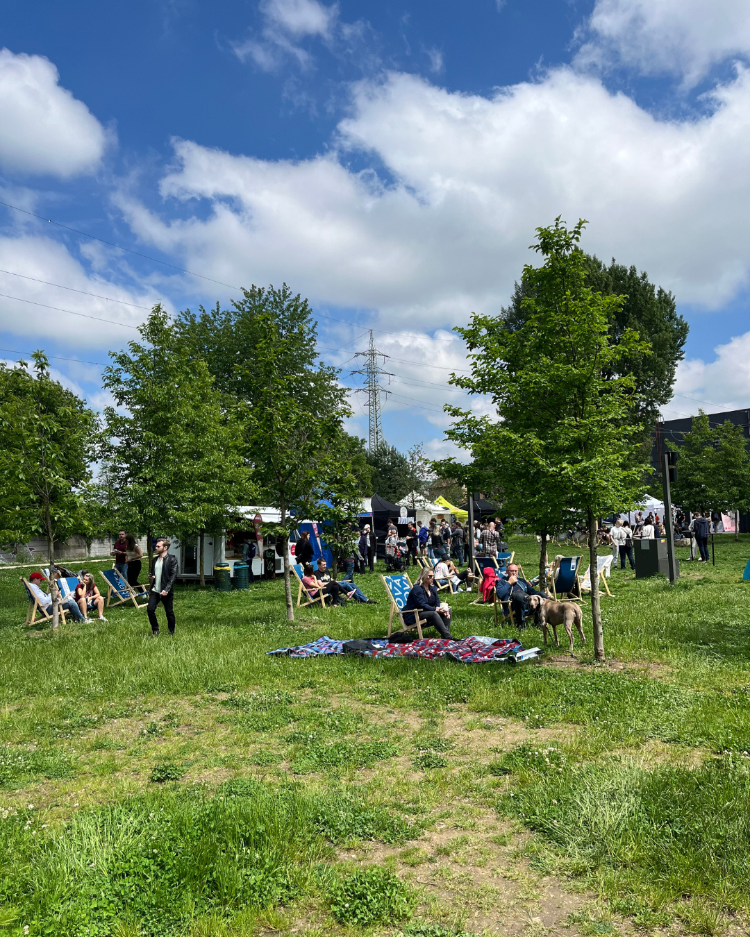 Piknik festival Brno